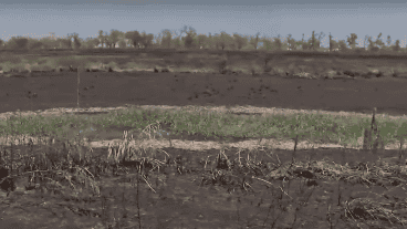 En la zona frente a Rosario también había terrenos a la venta.