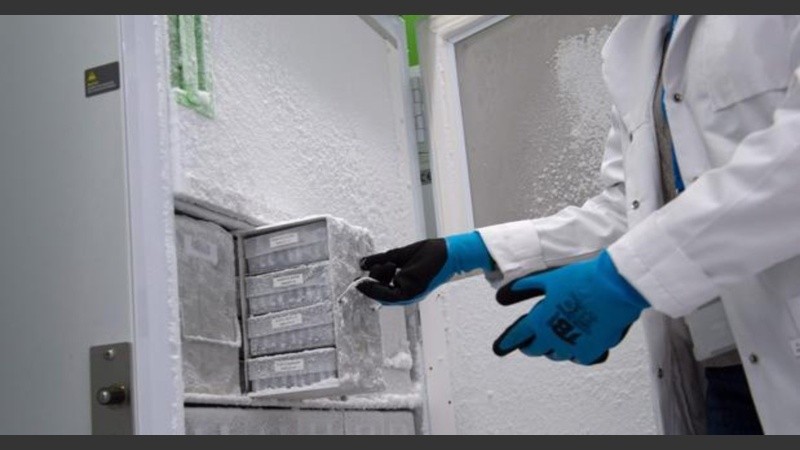 En noviembre la empresa comenzó a trabajar en una nueva versión de la vacuna dirigida a contener la variante ómicron.