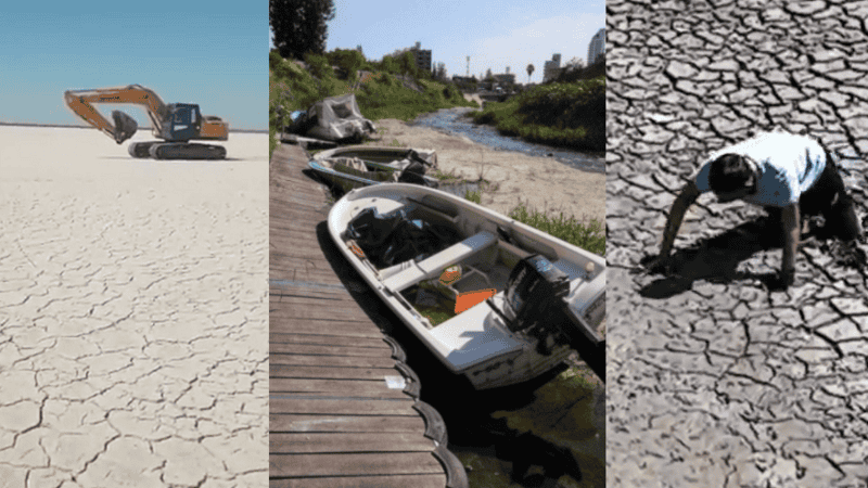 Lagunas secas, rescate de tortugas, lanchas fantasmas y otras muestras de un fenómeno extremo.