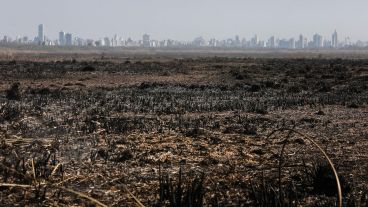 Los incendios en las islas y el humo no cesan, en el tercer año de sequía y bajante del río.