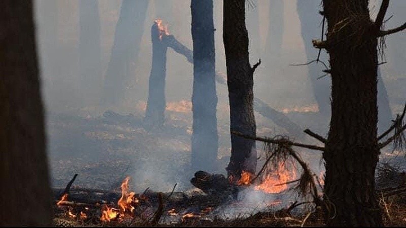El fuego azota a buena parte del país y el humo se esparce por todo el territorio.