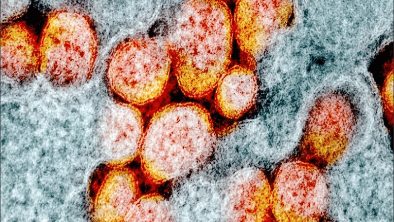 Los casos encontrados en el país ya no son contagiosos.