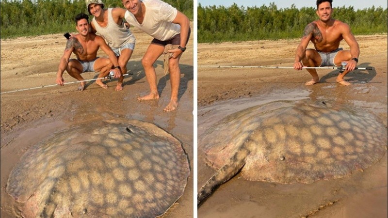 El animal fue devuelto al agua.