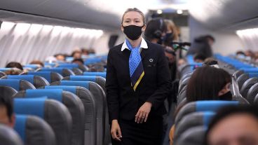 El organismo aconsejó a todos los países que "levanten o suavicen las prohibiciones de tráfico internacional".