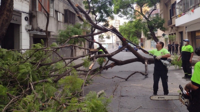 El trabajo de las cuadrillas en San Luis al 2100.