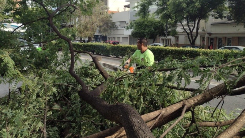 Pellegrini al 400, otro de los puntos afectados por el temporal.