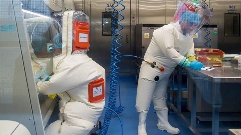 El origen del sars-cov-2 aún es materia de debate.