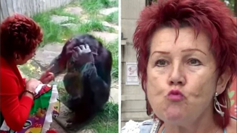 Los informes dicen que Chita creció como una mascota y fue donada al zoológico.