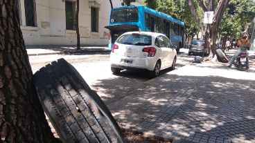 Una de las ruedas que perdió el colectivo, apoyada en un árbol