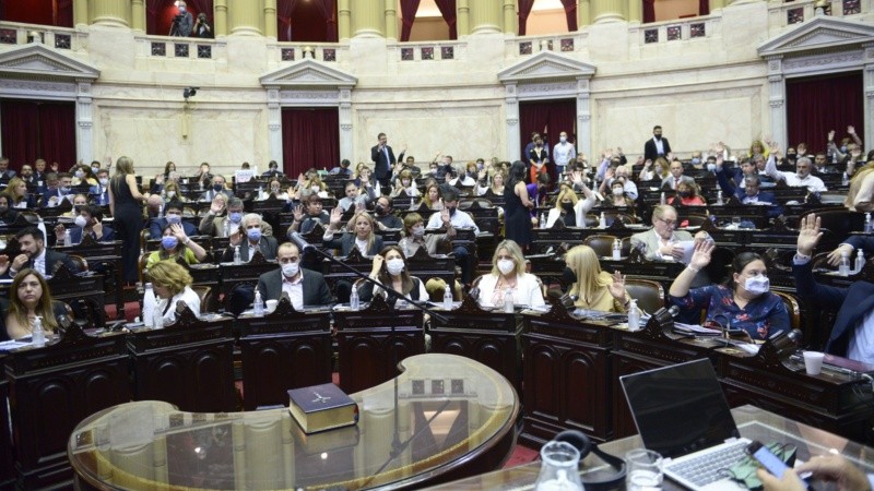 Los santafesinos Marcos Cleri y Alejandra Obeid votaron en contra.