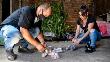 Secuestraron cerca de 16 mil dosis que serán analizadas.