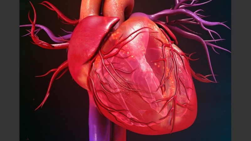 La arritmia no es exclusiva de un rango etario determinado, la pueden sufrir desde bebés recién nacidos hasta ancianos