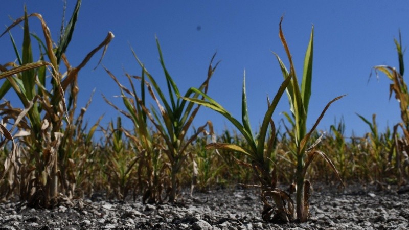 El beneficio se extenderá hasta la producción del 30 de junio del 2022.