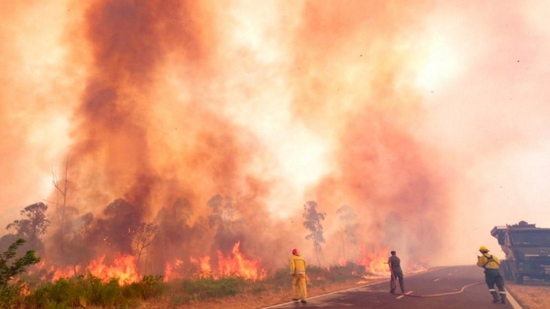 El drama de los incendios en Corrientes.