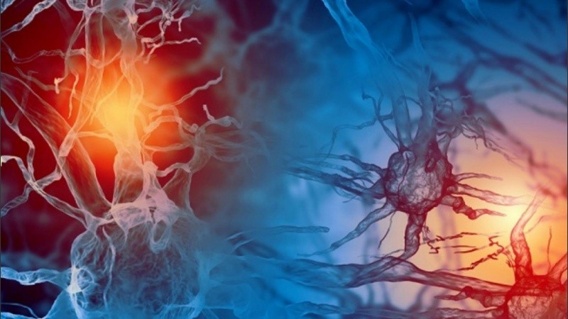 Este es el primer estudio en medir la actividad cerebral durante el proceso de muerte.