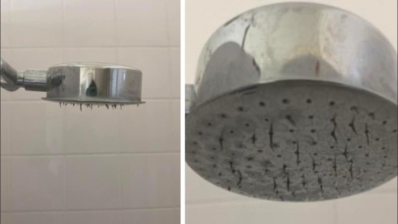 La horrorizada usuaria de Facebook compartió la imagen y buscó respuestas.