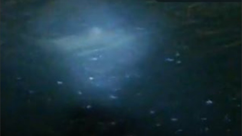 Los pescadores filmaron al enorme pez y las imágenes se viralizaron.