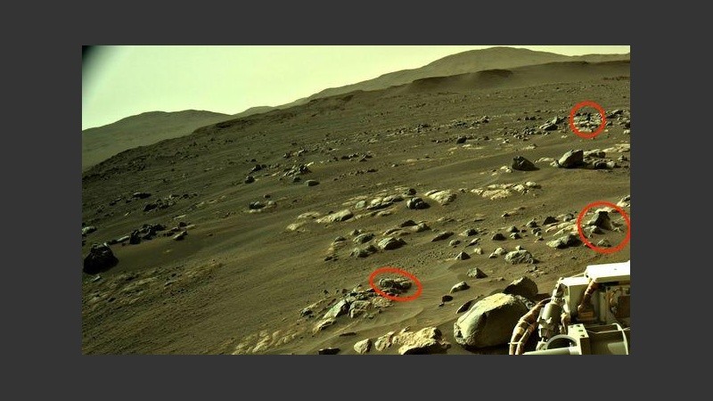 Todos estos elementos están muy cerca del Mars Rover. 