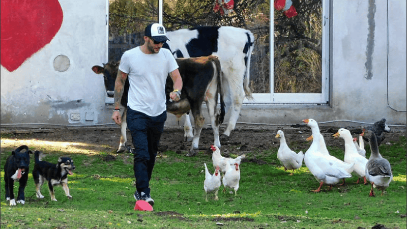 Fernando Pieroni decidió viajar a Corrientes para colaborar con la asistencia para los animales en medio de los incendios.