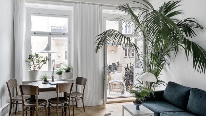 Claridad y buena distribución son las principales claves