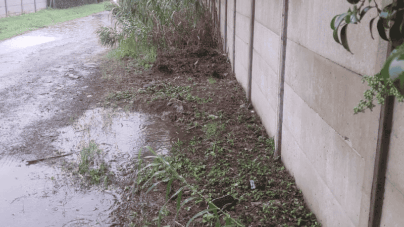 La zona en la que se produjo el ataque sexual.