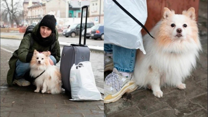 En este momento, Daryna está viajando a Varsovia para encontrarse con su hermana María, de 17 años, que estudia en Polonia.