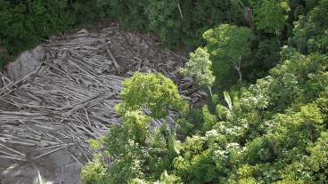 Con Bolsonaro, la deforestación en la Amazonia aumentó más del 75% sobre la década anterior.