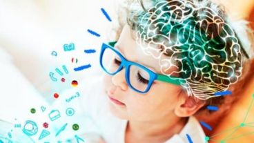 neurociencia infantil  DEF