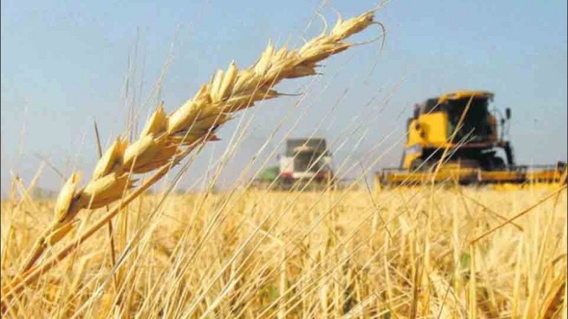 El conflicto bélico impactó en el mercado internacional de alimentos.