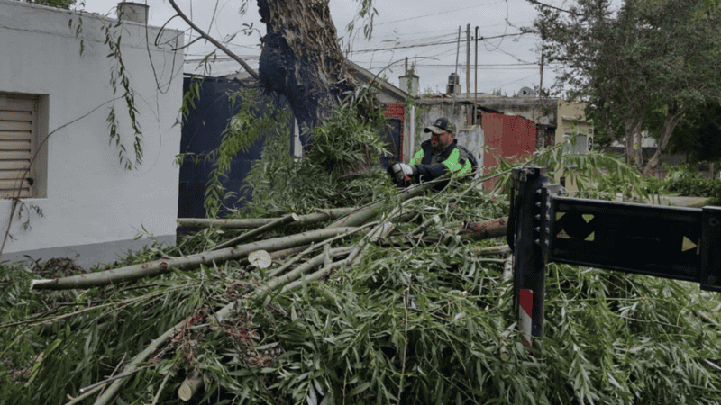 Las distintas cuadrillas continúan trabajando en las zonas afectadas.