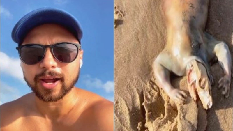 Describió el espeluznante hallazgo como una 