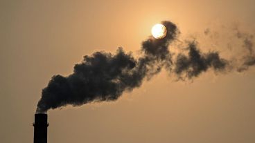 Destaca la necesidad del rápido reemplazo de combustibles fósiles por energías renovables.