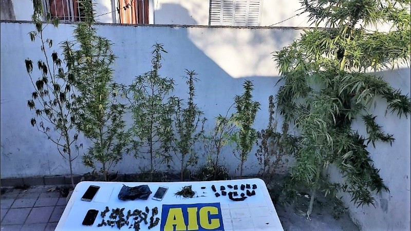 Dos hermanos lideraban la banda y el resto vendía al menudeo.