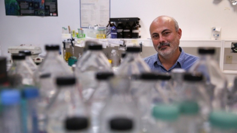 Javier Palatnik, director del IBR, en su mundo