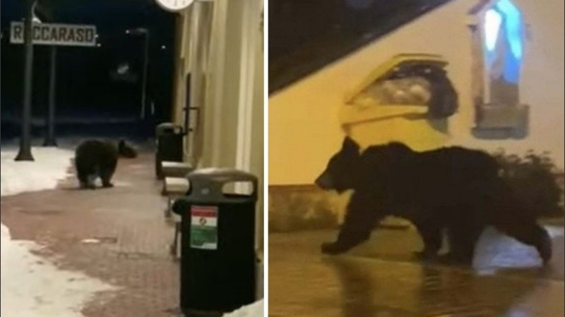 Juan Carrito se volvió amante de las galletas en la pandemia.