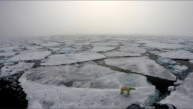 En la base Concordia, situada en la Antártida, el pasado 18 de marzo los termómetros marcaron -12º C en contraposición al registro habitual, que es de unos -55º C