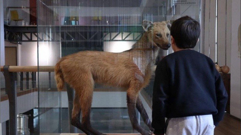 museo gallardo   DEF