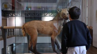 museo gallardo   DEF