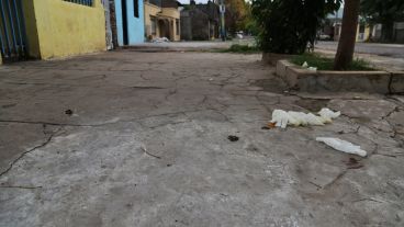 Se secuestraron 9 vainas servidas en la escena del crimen.