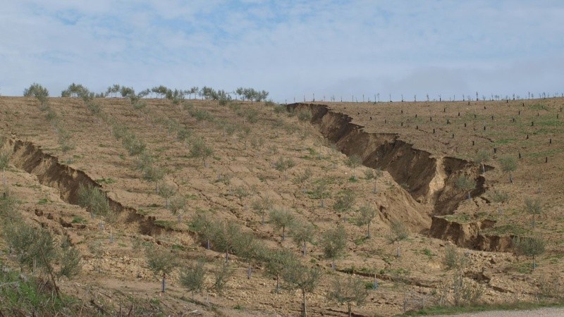 Los seres humanos nos hemos apropiado de más del 70% de la superficie terrestre libre de hielo en la búsqueda de alimentos y recursos naturales.