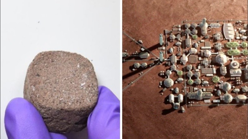 Planean investigar cómo les afectará la baja gravedad y la atmósfera de Marte.