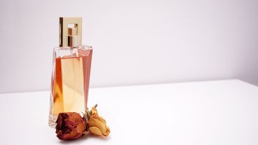 Las concentraciones y volúmenes de los compuestos son características claves para comprender las diferencias