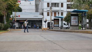El gremio advirtió que, si no hay avances en la negociación, el martes vuelven al paro.