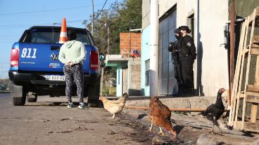 El objetivo es secuestrar animales que quedaron abandonados en el lugar.