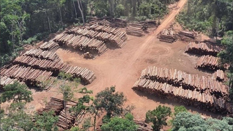 La deforestación en la Amazonia brasileña se aceleró desde la llegada de Jair Bolsonaro a la presidencia.