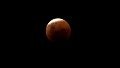 Con cielo despejado, el eclipse total de luna pudo verse en Rosario, aunque bastante tarde