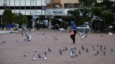 Panorama desolador en la Plaza Montenegro este martes por el frío y el paro de colectivos