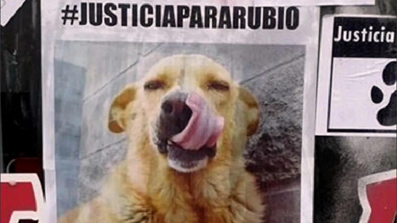 Uno de los afiches pidiendo justicia por Rubio.