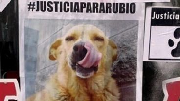 Uno de los afiches pidiendo justicia por Rubio.