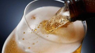 Que los consumidores acepten el trigo transgenico vía la cerveza, posibilidad que explora Bioceres.